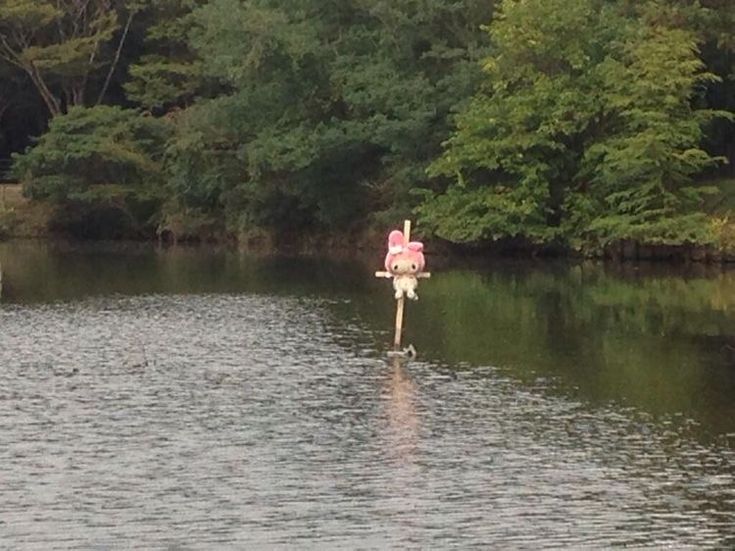 there is a pink flamingo standing in the middle of the water with trees behind it