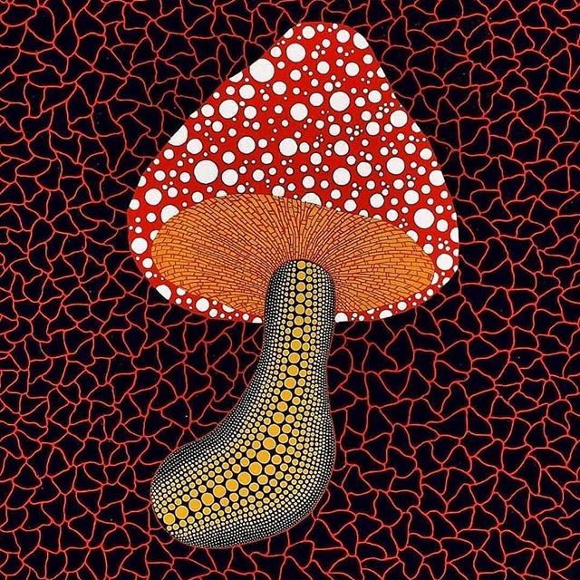 a mushroom on a black background with red and white dots in the center, as if it were an art work