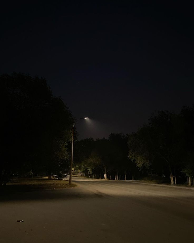 an empty street at night with the lights on and trees in the foreground lit up