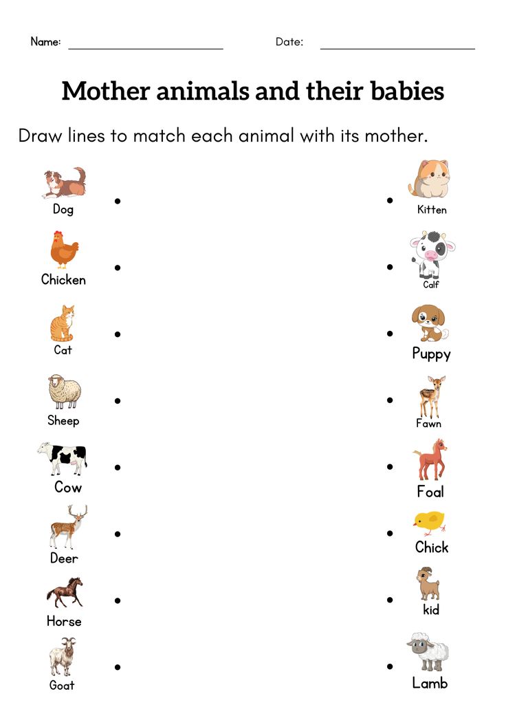 an animal worksheet with the words mother animals and their babys on it