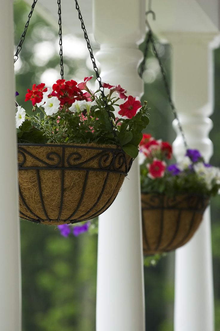 10+ Hanging Pots For Plants. Apart from preventing bottles from. It involves drilling and planting. The 11 Best Hanging Planters of 2021 from www.mydo... Hanging Pots For Plants, Moss-rose Purslane, Hanging Basket Plants, Hanging Wire Basket, Metal Plant Hangers, Rope Plant Hanger, Plant Bracket, Diy Hanging Planter, Pots For Plants