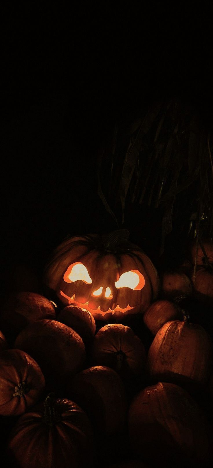 pumpkins lit up in the dark with glowing eyes