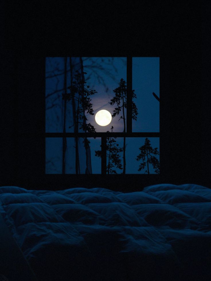 a full moon seen through an open window in the dark night sky over a forest