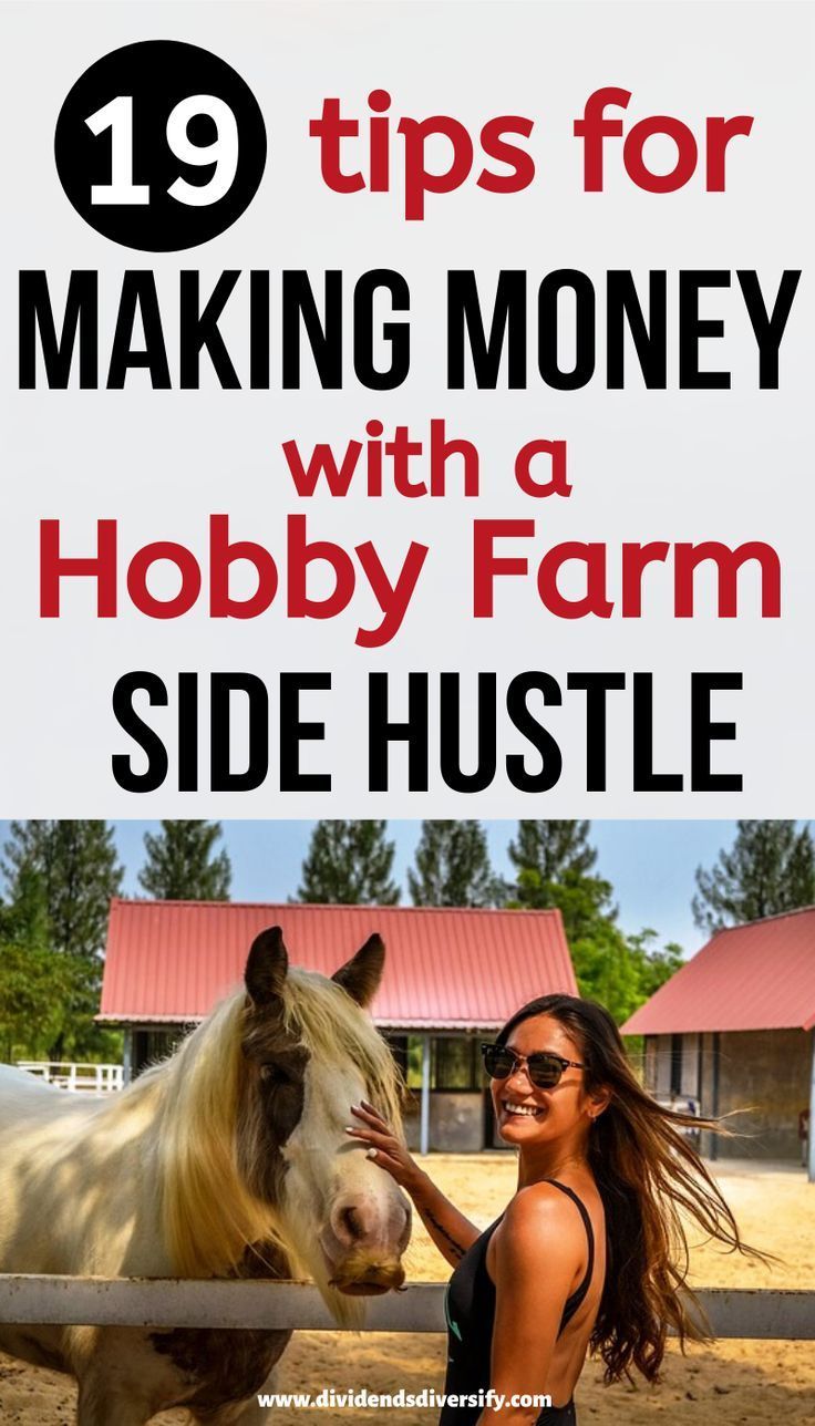 a woman petting a horse with the words 19 tips for making money with a hobby farm side hustle