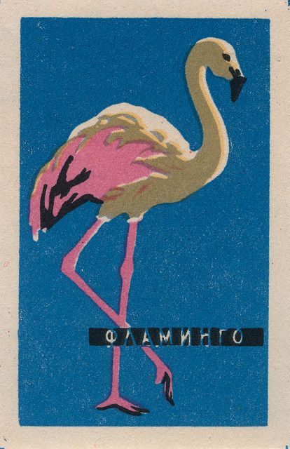 a pink flamingo standing in front of a blue background with the word ohhmad on it