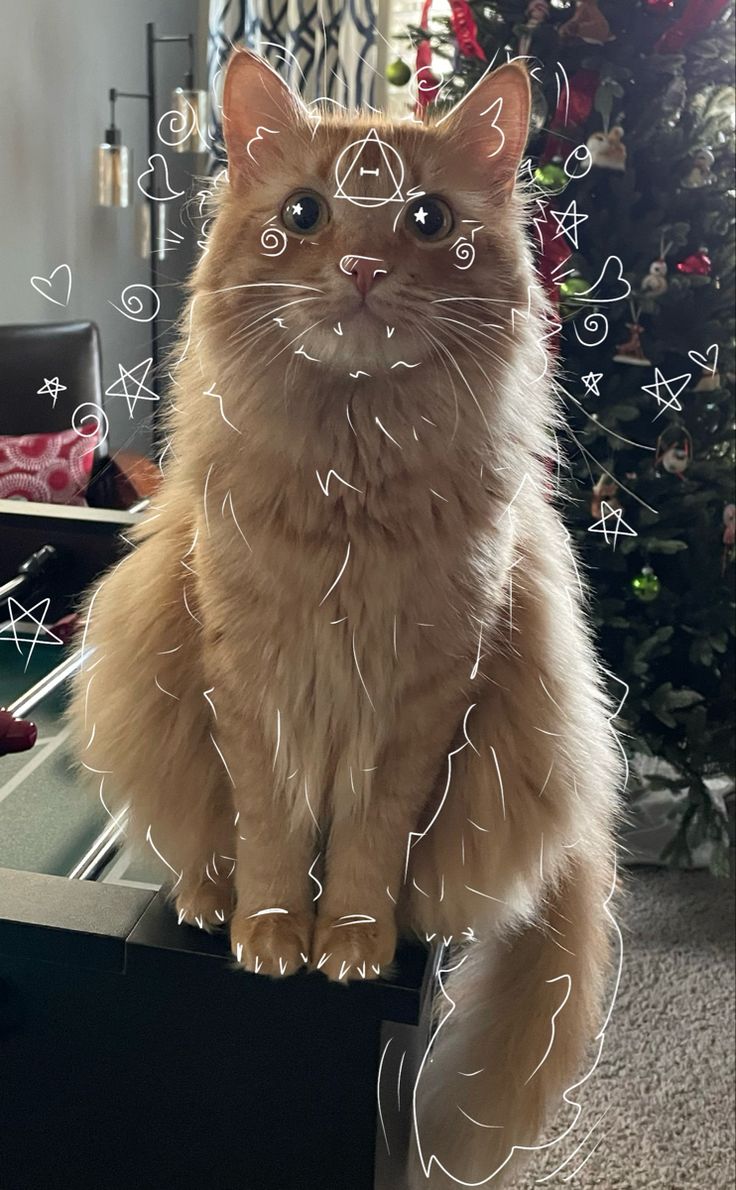 an orange cat sitting on top of a table next to a christmas tree with hearts drawn all over it