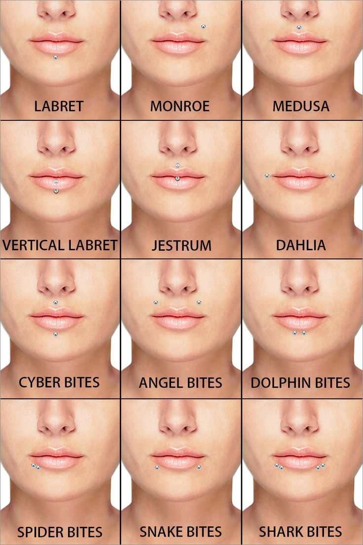 an image of different types of lips and their corresponding names on the same page, which includes