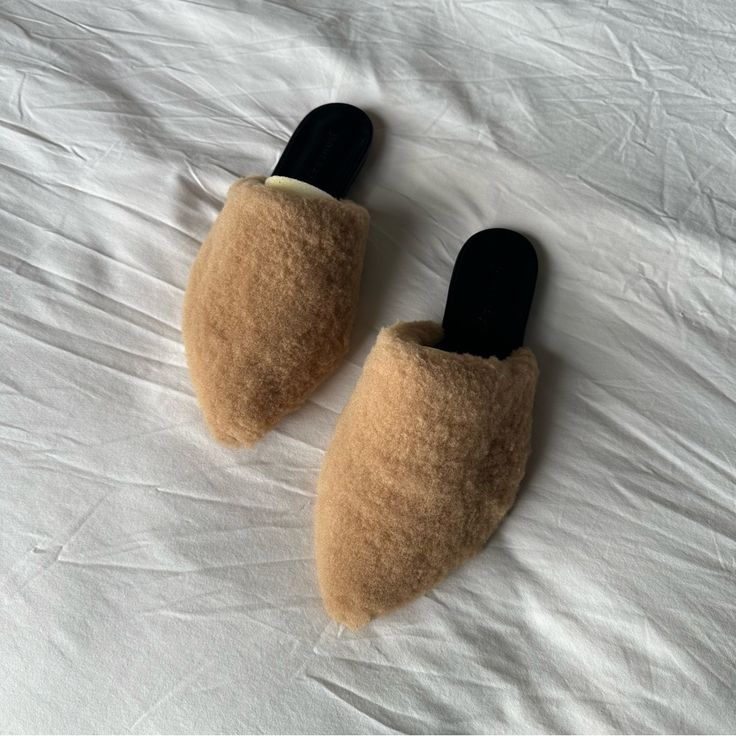 Brand New Jenni Kayne Shearling Mules, Never Worn. Beige Flat Heel Slippers For Winter, Winter Slippers With Flat Heel, Beige Flat Heel Winter Slippers, Winter Beige Slippers With Round Toe, Brown Winter Slippers With Flat Heel, Flat Slippers With Faux Fur Lining For Winter, Chic Beige Round Toe Slippers, Winter Brown Flat Heel Slippers, Winter Cream Closed Toe Slippers