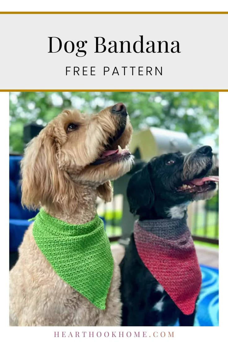 two dogs wearing scarves with the text dog bandana free pattern on top of them