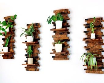 three wooden shelves with plants and potted plants mounted to the side of each shelf