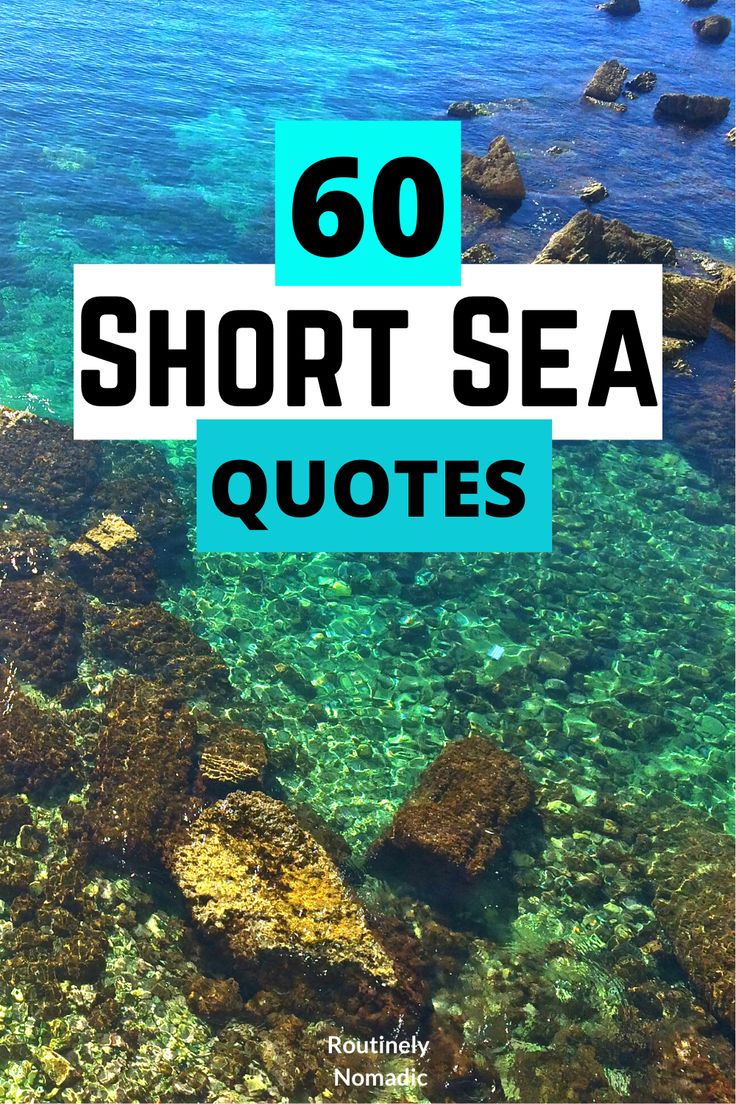 the ocean with text that reads 60 short sea quotes