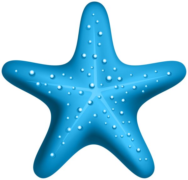 a blue starfish with water droplets on it