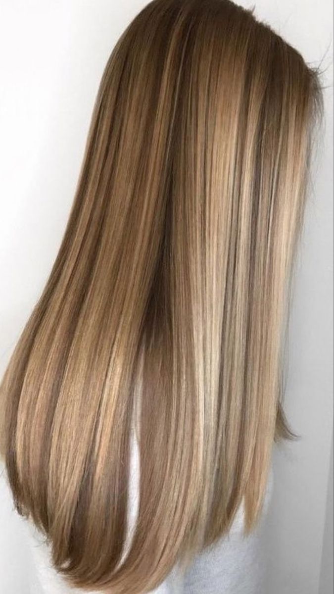 Honey Blonde Highlights On Brown Hair Straight, Dark Golden Blonde Highlights, Ash Blonde Highlights Straight Hair, Healthy Dark Blonde Hair, Golden Blonde Balayage Dark Roots, Half Head Highlights Brown Hair Straight, Blonde Hairlights On Brown Hair, Harvest Blonde Hair, Brown Hair With Blonde Highlights Straight