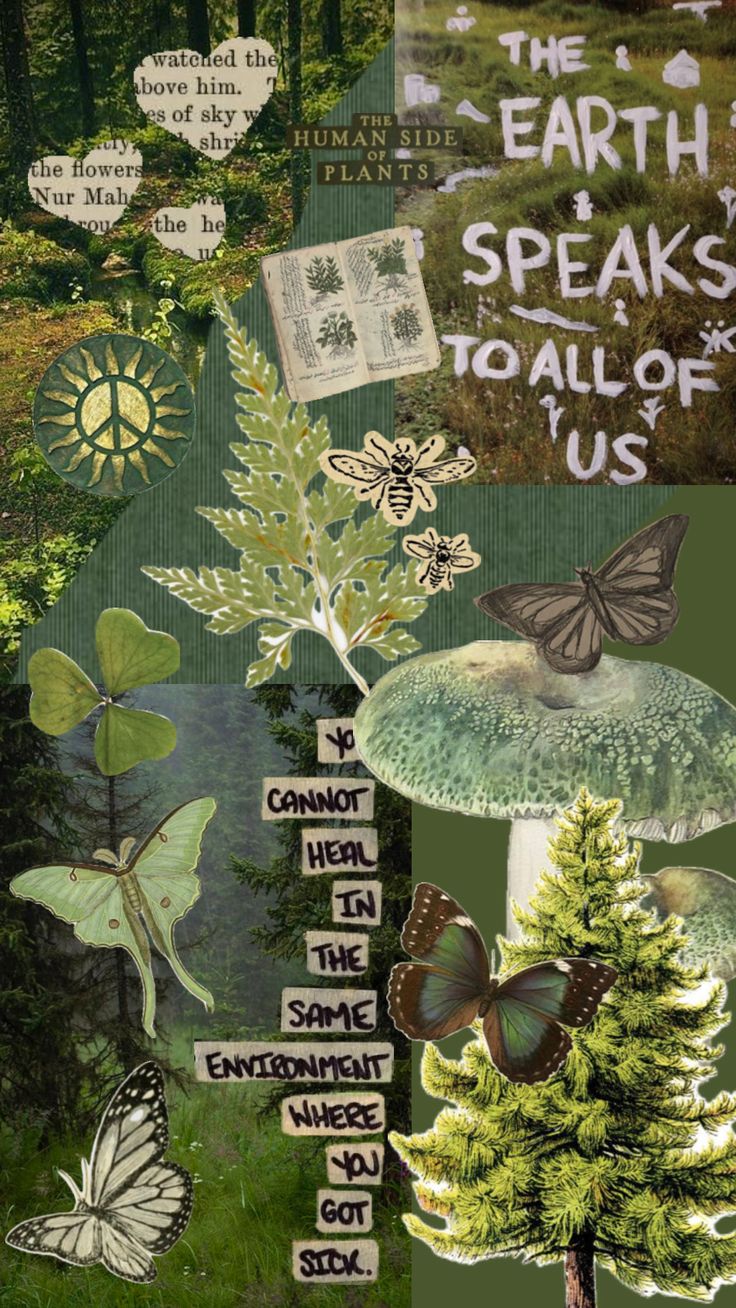 the collage shows different types of plants and trees