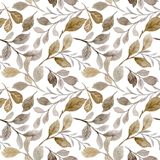 a pattern with leaves and branches on a white background