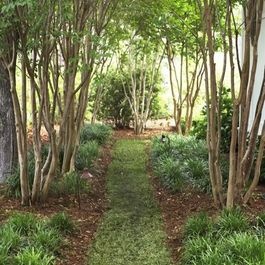 a path in the middle of some trees