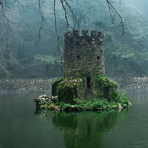 an old castle sitting on top of a lake in the middle of a foggy forest