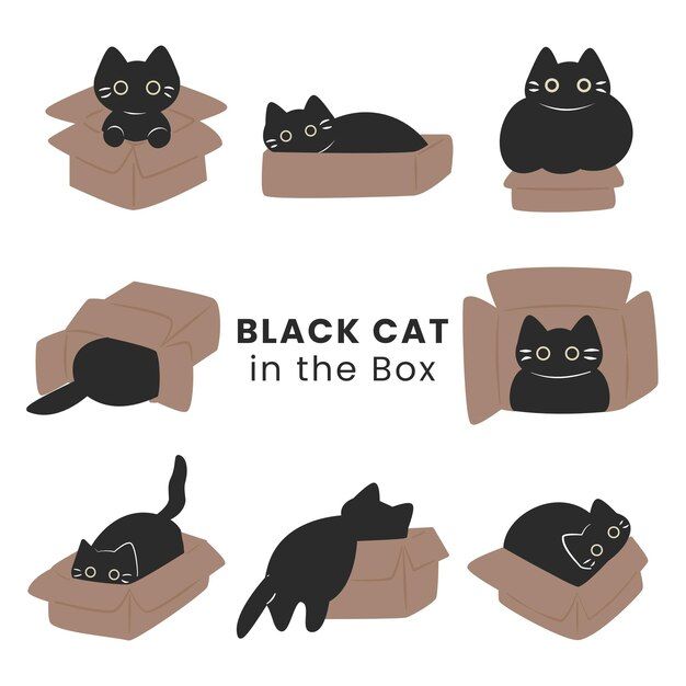 black cat in the box with different poses and expressions, cartoon character illustration stock photo