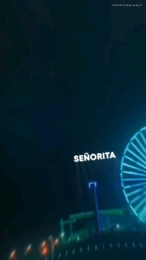 a ferris wheel lit up at night with the word sedonita in front of it