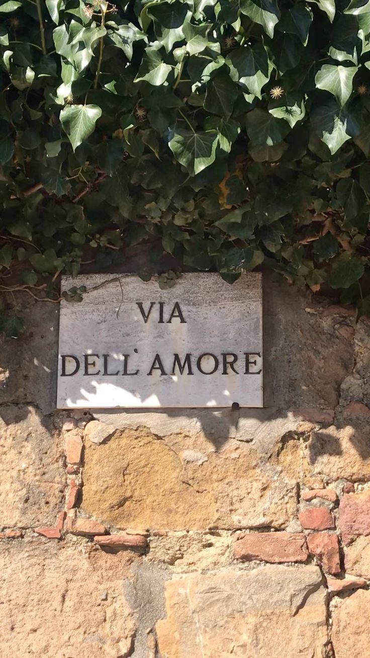 a sign that is on the side of a stone wall with ivy growing over it