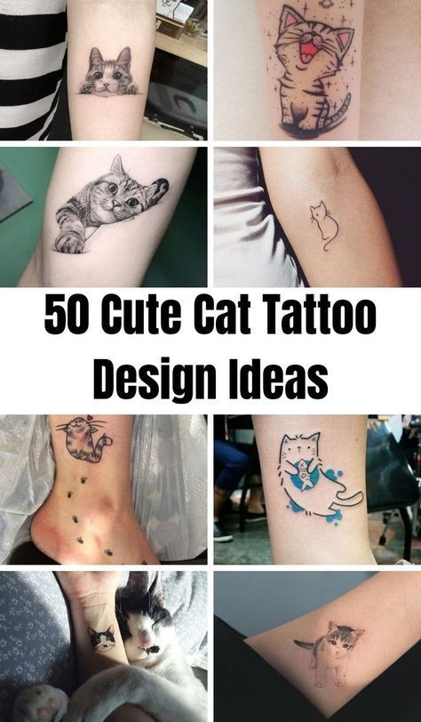 there are many different tattoos on the legs and feet, all with cats in them