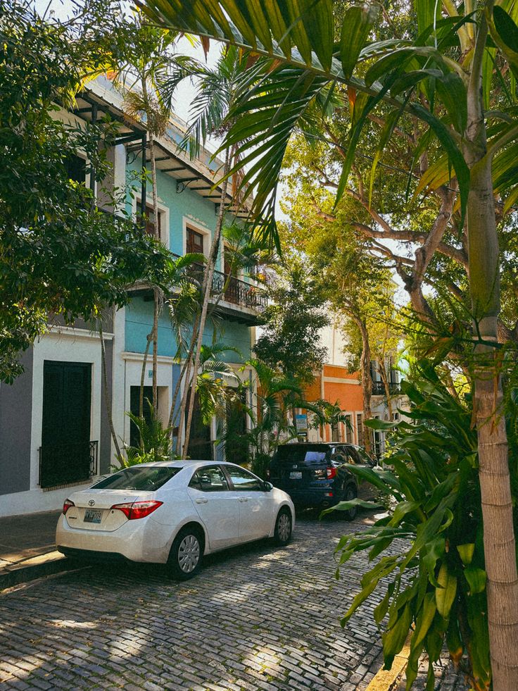 a white car parked on the side of a street next to tall trees and buildings