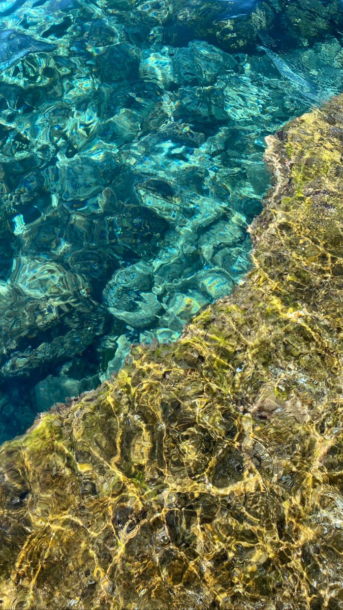 the water is very clear and blue with algae growing on it's bottom edge