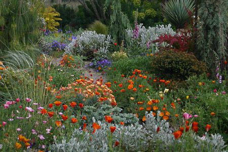 a garden filled with lots of colorful flowers