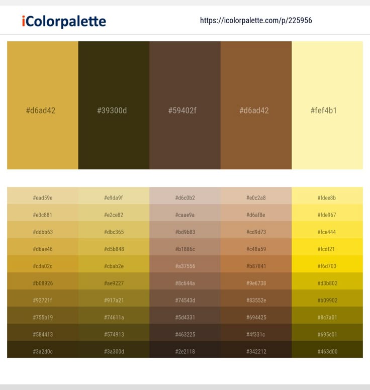 the color palette is shown in different shades