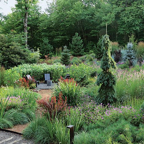 an outdoor garden with lots of plants and flowers in the foreground, surrounded by trees