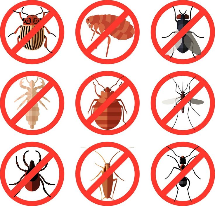 six signs with different types of bugs in them