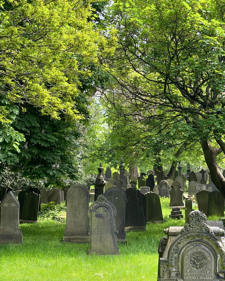 a cemetery with many headstones and trees