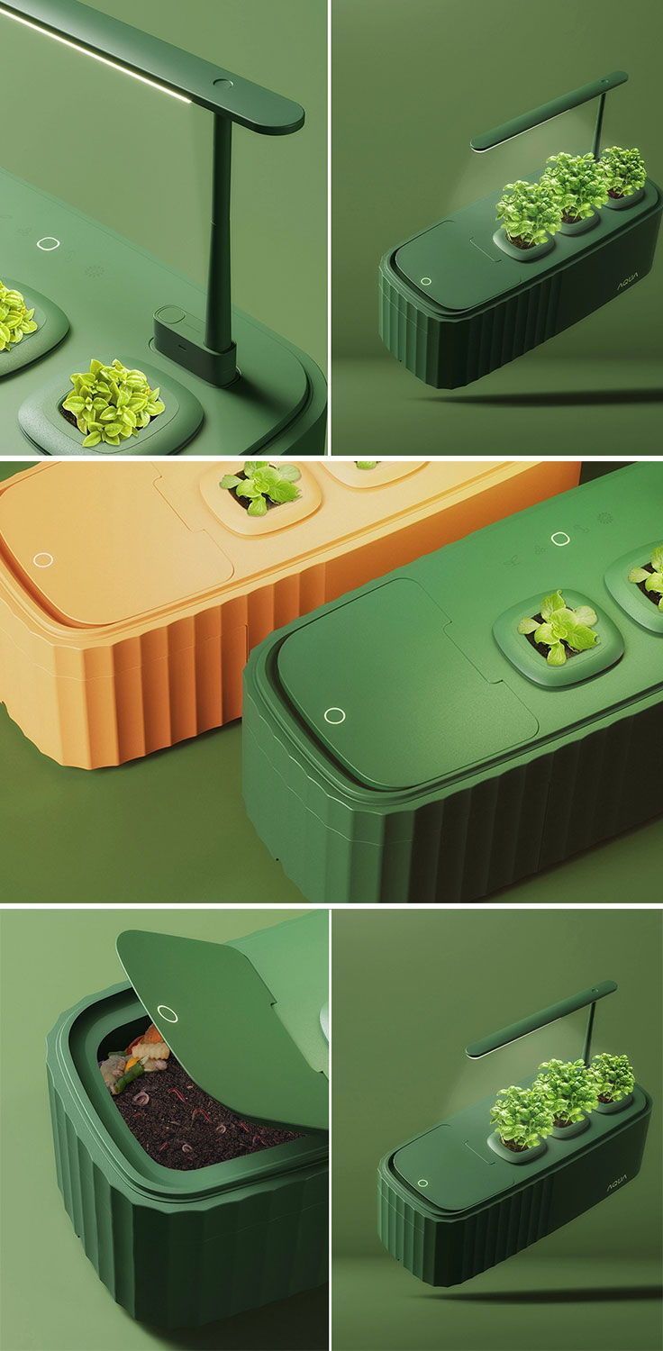 there are four different pictures of the same food container with broccoli in it