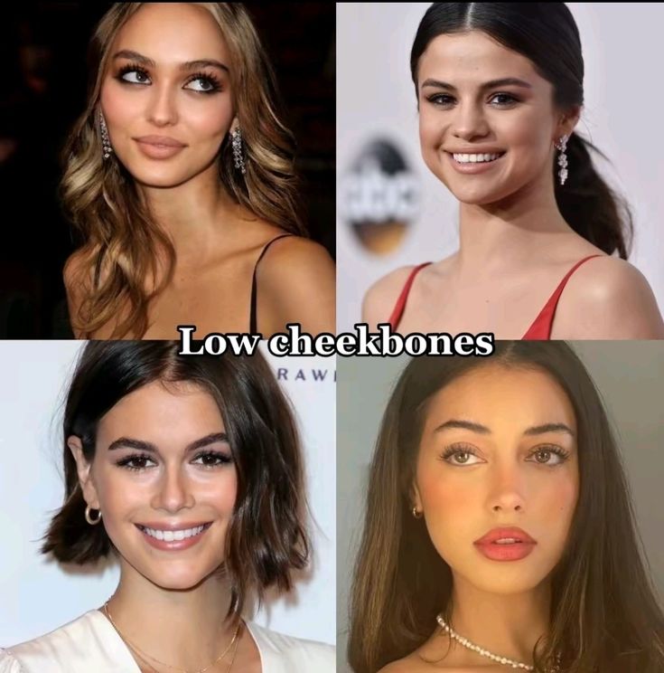 Types Of Cheeks, Types Of Cheekbones, High Vs Low Visual Weight Face, High Cheek Bones Round Face, High Vs Low Cheekbones, Low Cheekbones Women, Flat Cheekbones, Cheekbones Aesthetic, High Cheekbones Women