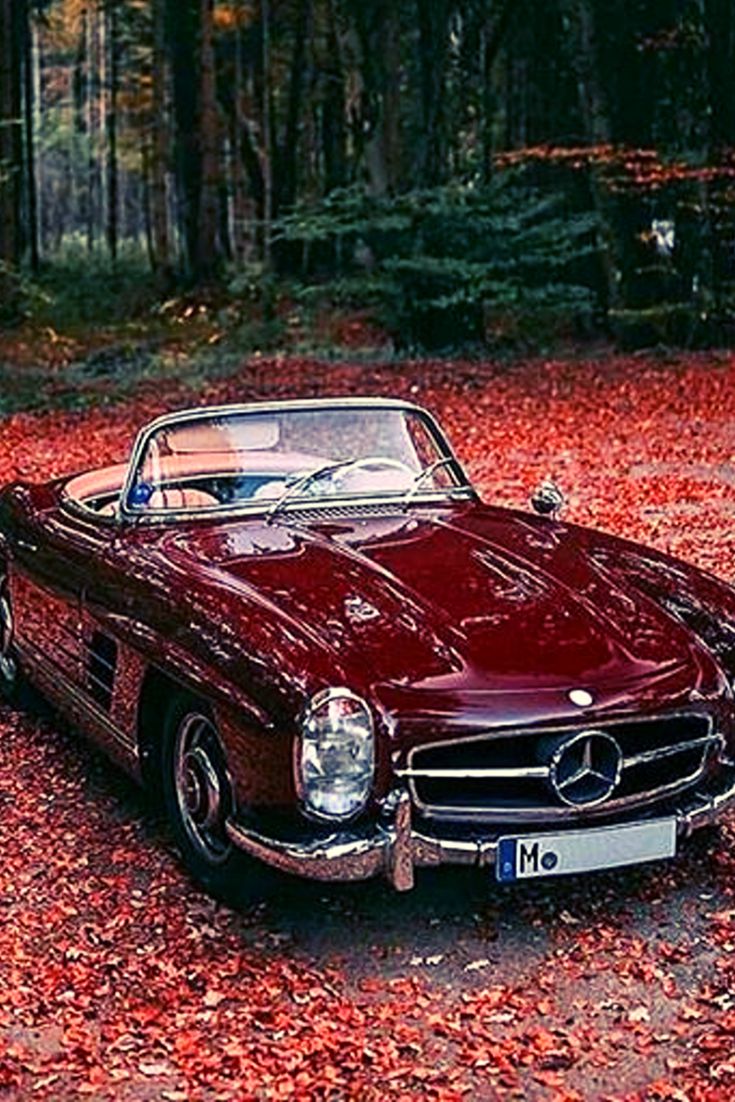 an old red mercedes parked in the woods