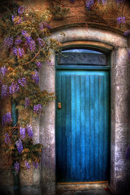 a blue door with purple flowers growing on it