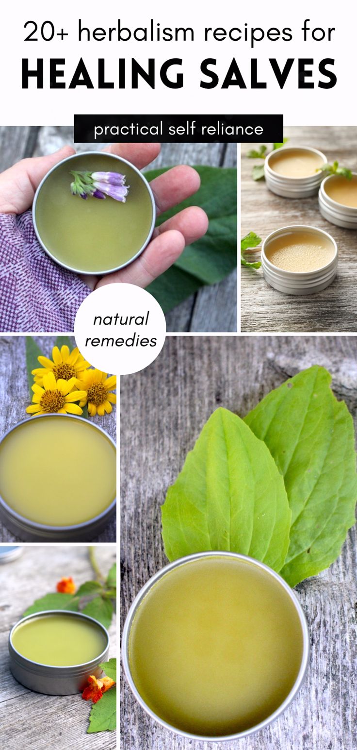 Homemade Salve Recipes, Herbalism Recipes, Herbal Salve Recipes, Prunella Vulgaris, Healing Salve Recipe, Herbal Medicine Recipes, Healing Salve, Herbal Remedies Recipes, Salve Recipes