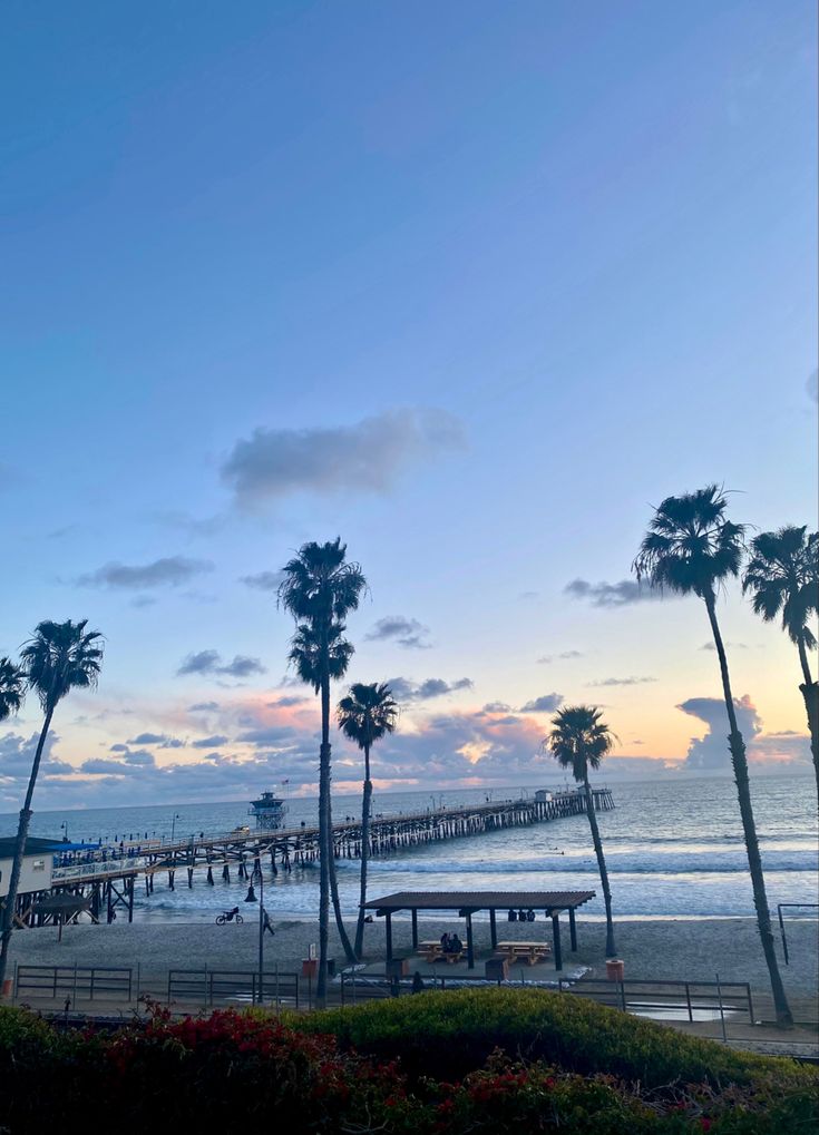 palm trees line the beach as the sun sets in front of a pier and ocean