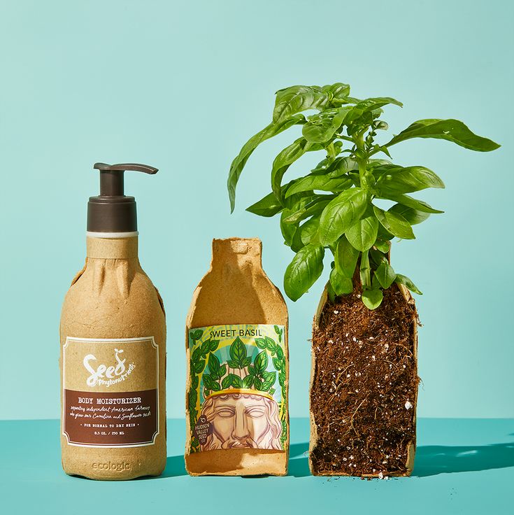 three different types of hand soaps next to each other on a blue surface with a green plant in the middle