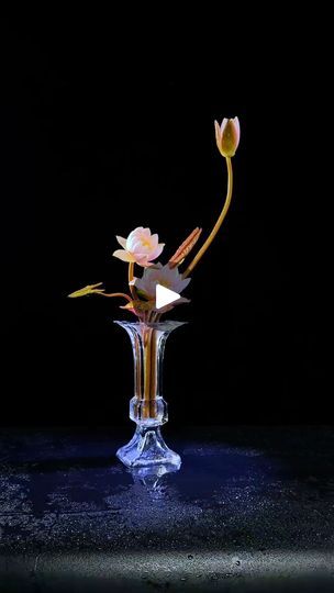 a glass vase with flowers in it on a black surface, lit up by the light