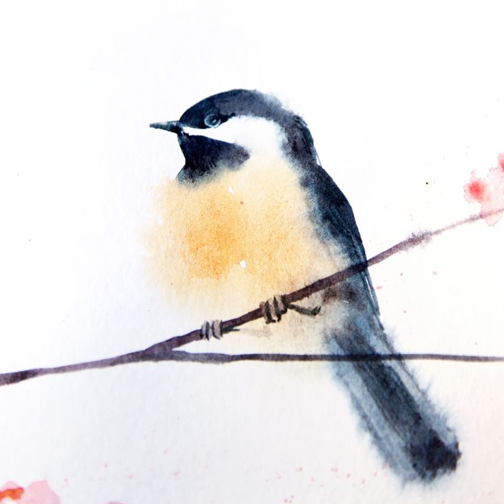 a bird sitting on top of a wire next to watercolor paint splotches