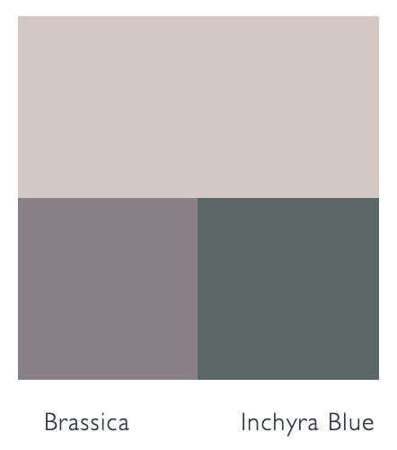 the color scheme for gray and brown