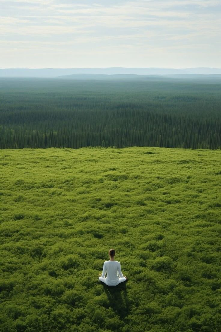 a person sitting on a bench in the middle of a large grassy field with trees