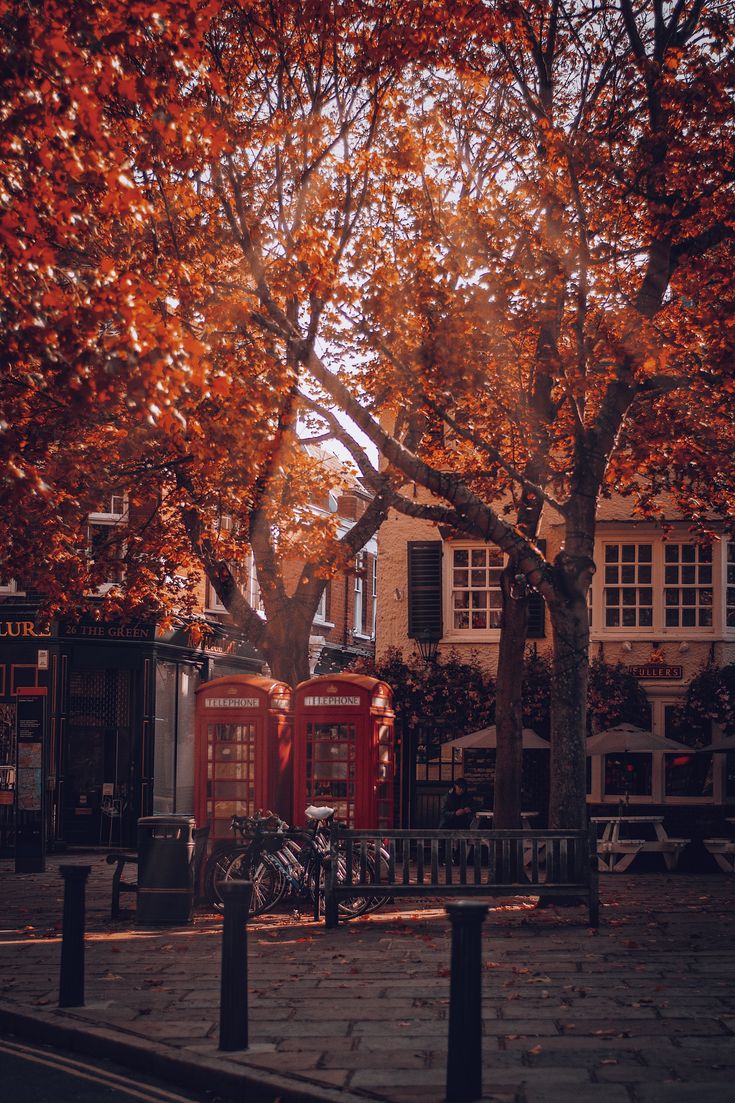 a red phone booth sitting next to a tree filled with leaves