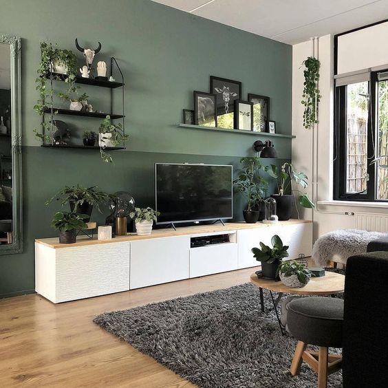 a living room filled with furniture and lots of plants on top of the shelves in front of the tv