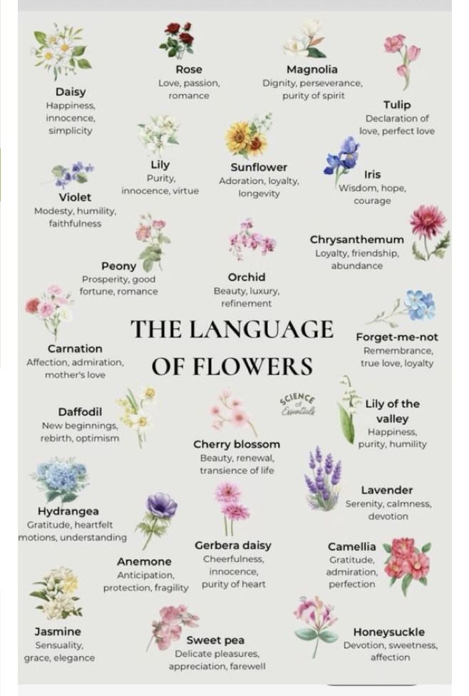 the language of flowers is shown in this poster, which shows different types of flowers and their meanings