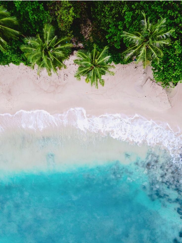 an aerial view of the ocean and beach with palm trees in the background, taken from above