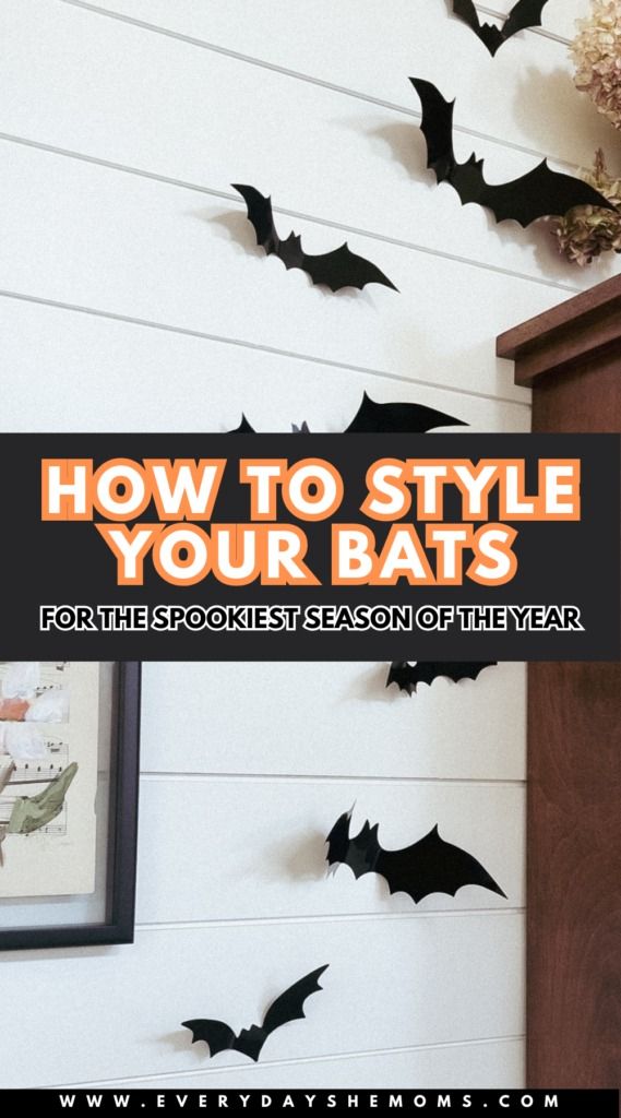 bats hanging on the wall with text overlay that says how to style your bats