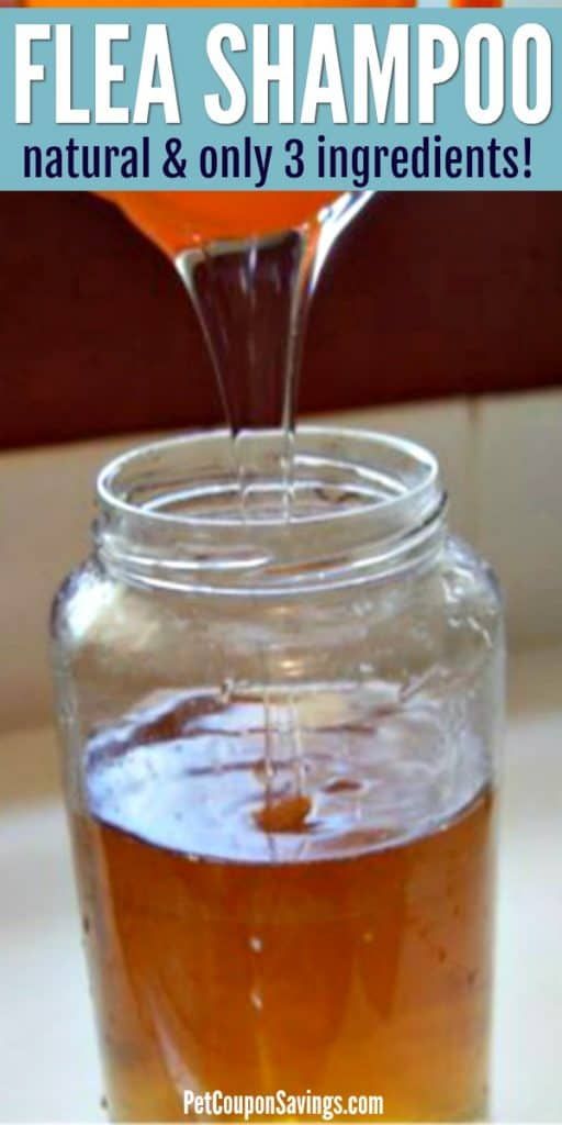 a jar filled with liquid sitting on top of a table