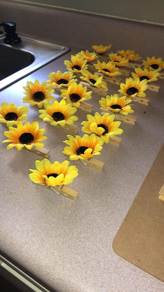 sunflowers are arranged in rows on the counter